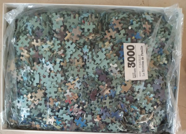 Image of the puzzle 3000, Nathan, Family Reunion, by Frédéric Bazille, Sealed Bag, Picture of the bag
