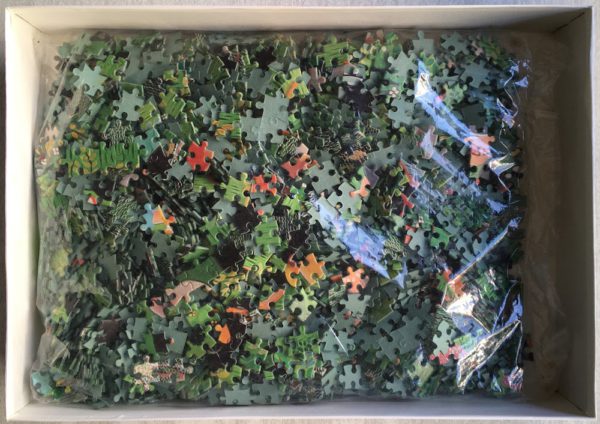 Image of the puzzle 2000, Kosmos, Matrimonio, by Emilia Baragiola, Sealed Bag, Picture of the bag