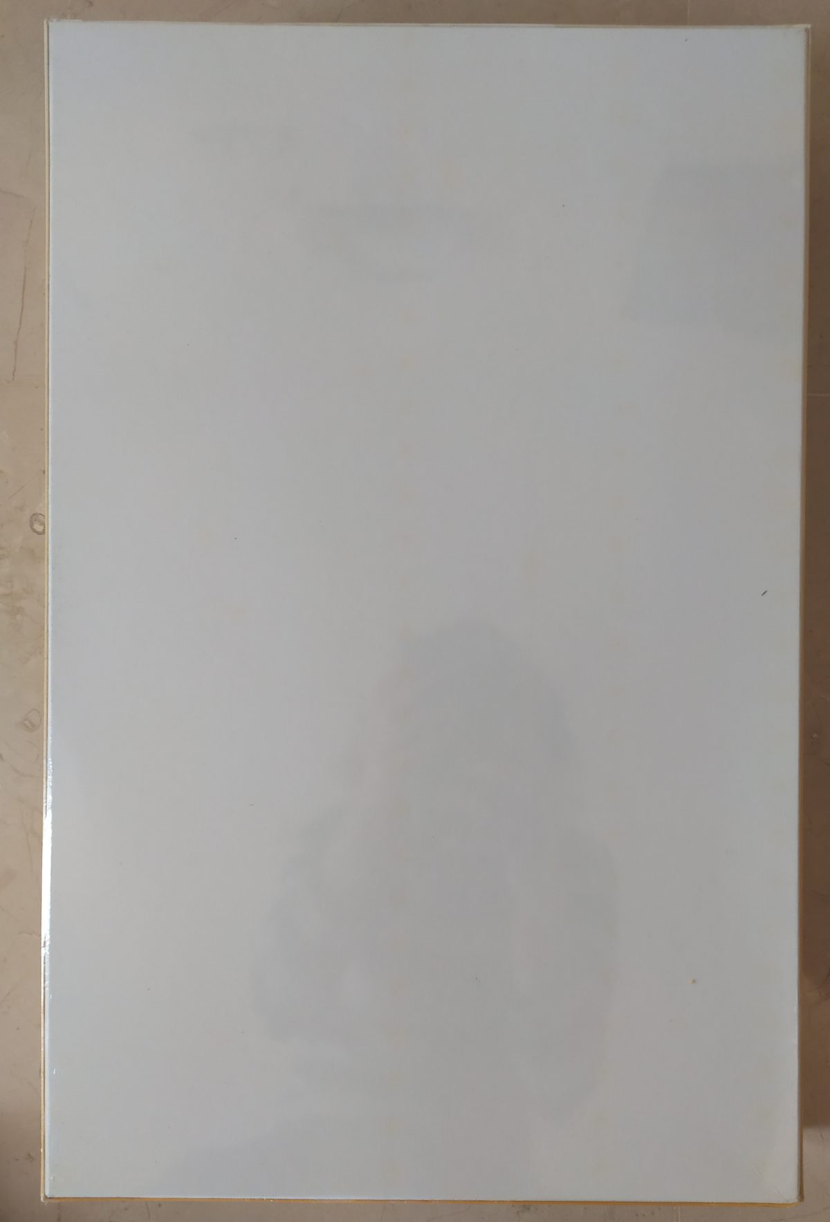 Image of the puzzle 6000, Piatnik, Playing Cards, Factory Sealed, Picture of the back