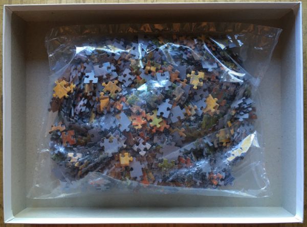Image of the puzzle 1000, Goliath, The Colors of Life, by Chuck Pinson, Sealed Bag, Picture of the bag