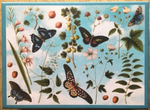 Image of the puzzle 1000, Bekking & Blitz, Collage from Several Artworks, by Joseph Jakob von Plenck, Complete, Picture o the box