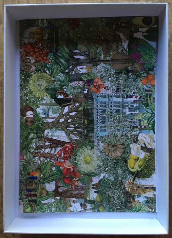 Image of the puzzle 1000, Laurence King, Around the World in 50 Trees, by Lucille Clerc, Complete, Picture of the contents
