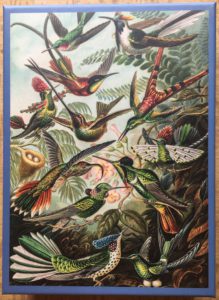 Image of the puzzle 1000, Bekking & Blitz, Illustrations of Animals and Sea Creatures, Complete, Picture of the box