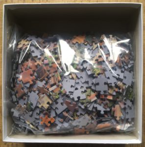 Image of the puzzle 1000, Goliath, Living with New Horizons, by Chuck Pinson, Complete, Picture of the bag