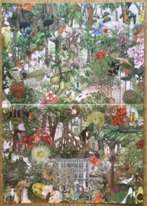 Image of the puzzle 1000, Laurence King, Around the World in 50 Trees, by Lucille Clerc, Complete, Picture of the poster