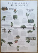 Image of the puzzle 1000, Laurence King, Around the World in 50 Trees, by Lucille Clerc, Complete, Picture of the poster