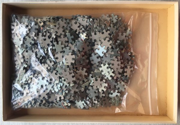 Image of the puzzle 1000, King, The Return of the Hollandia in the Landsdiep, by Ludolf Baknuizen, Complete, Picture of the bag