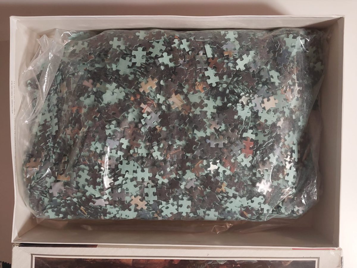 4000, Educa, The Battle of Austerlitz, François Gérard, Sealed Bag, Listed by Vanesa Image of the puzzle 4000, Educa, The Battle of Austerlitz, François Gérard, Sealed Bag, Picture of the bag