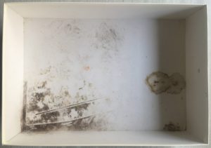 Image of the puzzle 8000, Educa, The Capitulation of Granada, by Francisco Pradilla, Complete, Picture of the base