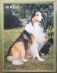 Image of the puzzle 1000, MB, Collie, Complete, Picture of the box