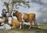 Image of the puzzle 1000, Puzzelman, The Bull, by Paulus Potter, Complete, Picture of the puzzle