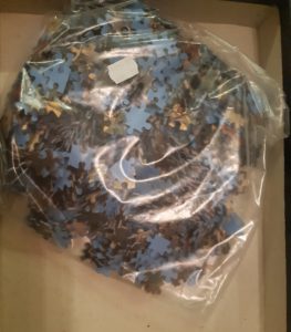 Image of the puzzle 1000, D-toys, A Convalescent, by James Tissot, Sealed Bag, Picture of the bag