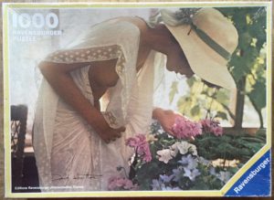 Image of the puzzle 1000, Ravensburger, At the Window, by David Hamilton, Complete, Picture of the box