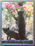 Image of the puzzle 1000, MB, Kittens, Frédéric Rolland, Complete, Picture of the box