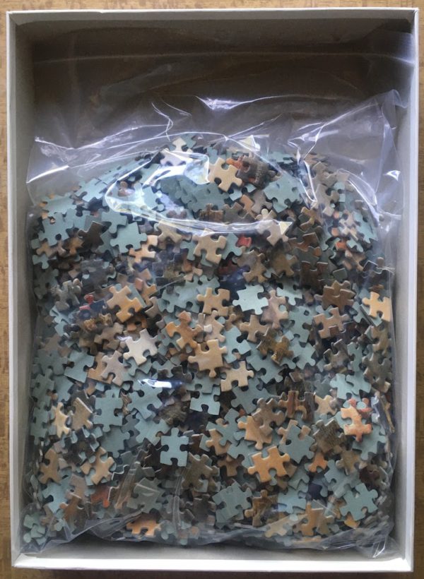 Image of the puzzle 1500, Ravensburger, Girl by the Sea, by Willem Haenraets, Complete, Picture of the bag