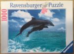 Image of the puzzle 1000, Ravensburger, Dolphins Leaping, Incomplete, Picture of the box