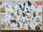 Image of the puzzle 1000, Jumbo, Cats Poster, by Francien van Westering, Incomplete, Picture of the box