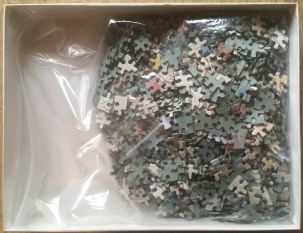 Image of the puzzle 1000, MB, Skating, Complete, Picture of the bag