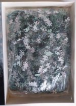 Image of the puzzle 2000, International Team, Notre Dame, Sealed Bag, Picture of the bag