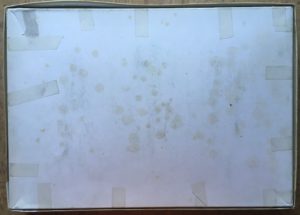 Image of the puzzle 3000, Dujardin, La Chasse au Cerf, Bernard van Orley, Complete, Picture of the back