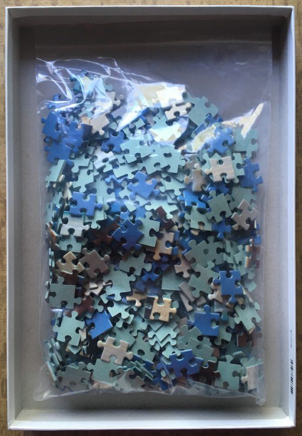 Image of the puzzle 500, Nathan, Horse on a Beach, Incomplete, Picture of the bag