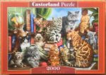 Image of the puzzle 2000, Castorland, House of Cats, by Marcello Cortí, Complete, Picture of the box