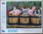 Image of the puzzle 1000, MB, Kittens in Flower Pots, by Frédéic Rolland, Incomplete, Picture of the box