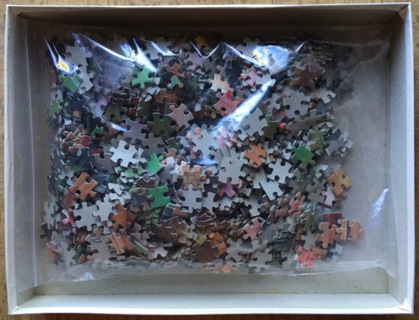 Image of the puzzle 1000, MB, Kittens in Flower Pots, by Frédéic Rolland, Incomplete, Picture of the bag