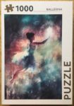 Image of the puzzle 1000, Rebo, Ballerina, Claudia McKinney, Complete, Picture of the box