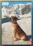 Image of the puzzle 1500, Nathan, Saint Bernard in the Snow, Complete, Picture of the box