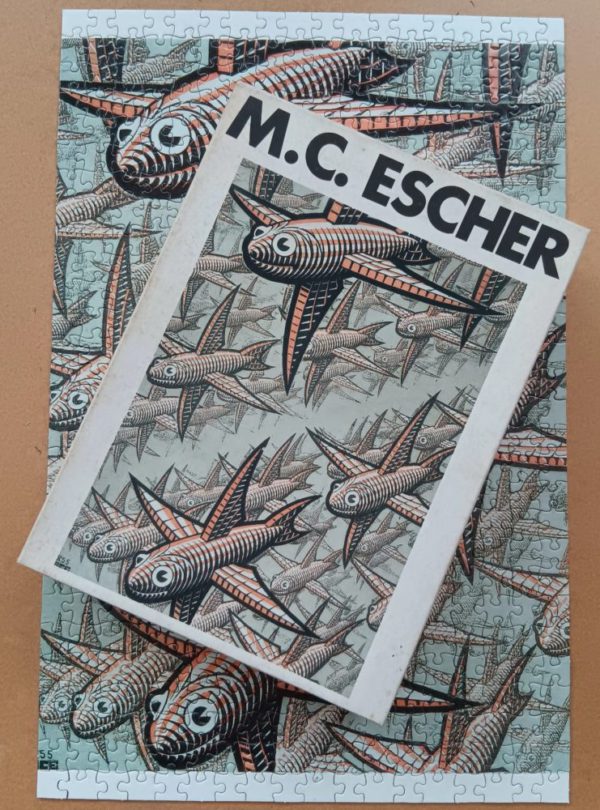 Image of the puzzle 500, Selegiochi, Depth, by Maurits Cornelis Escher, Complete, Picture of the box
