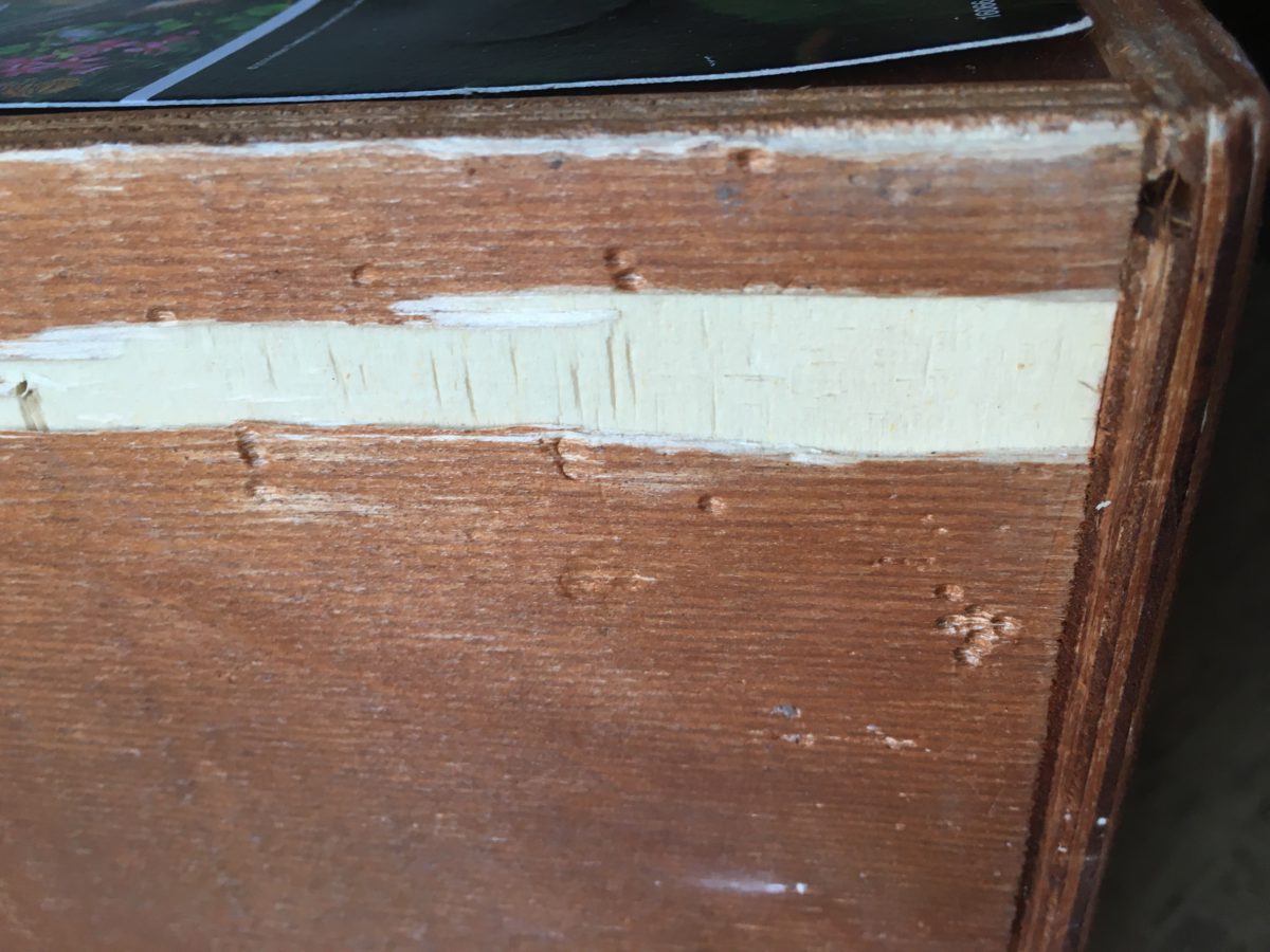 Image of the puzzle 33600, Educa, Wildlife, Adrian Chesterman, Sealed Bag, Detail of the box