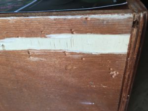 Image of the puzzle 33600, Educa, Wildlife, Adrian Chesterman, Sealed Bag, Detail of the box