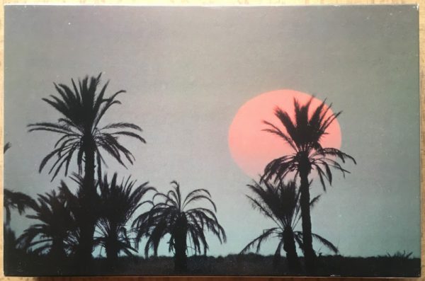 Image of the puzzle 1000, International Team, Tropics, Complete, Picture of the box