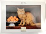 Image of the puzzle 1500, Nathan, A Cat with Oranges, Gérard Lacz, Factory Sealed, Picture of the box