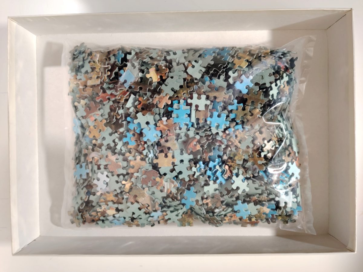 Image of the puzzle 2000, Jumbo, The Blind Organ Grinder, Rudolf Zink, Sealed Bag, Picture of the bag