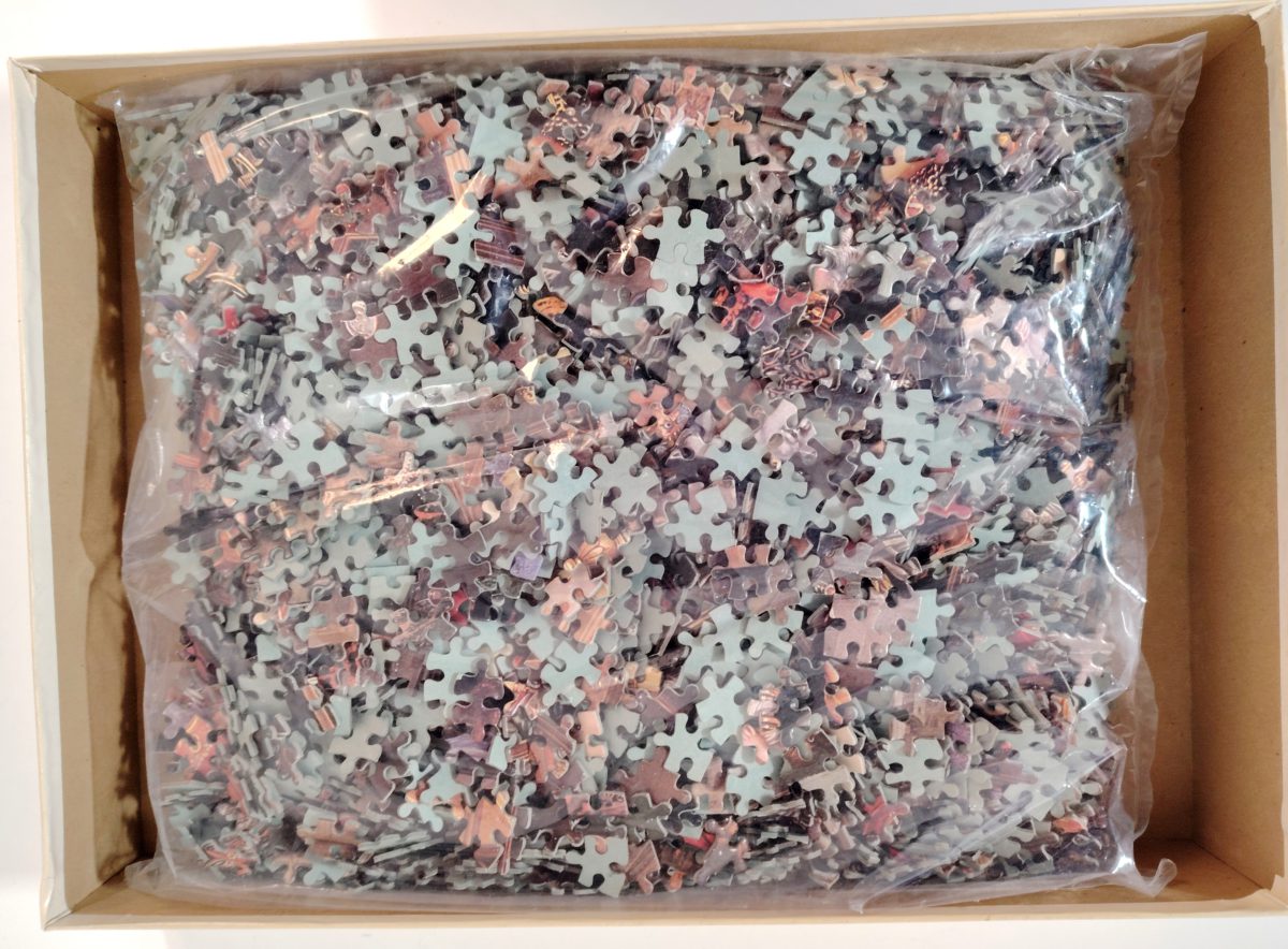 Image of the puzzle 3000, Falcon, Allegory of Sight, Jan van Kessel , Sealed Bag, Picture of the bag