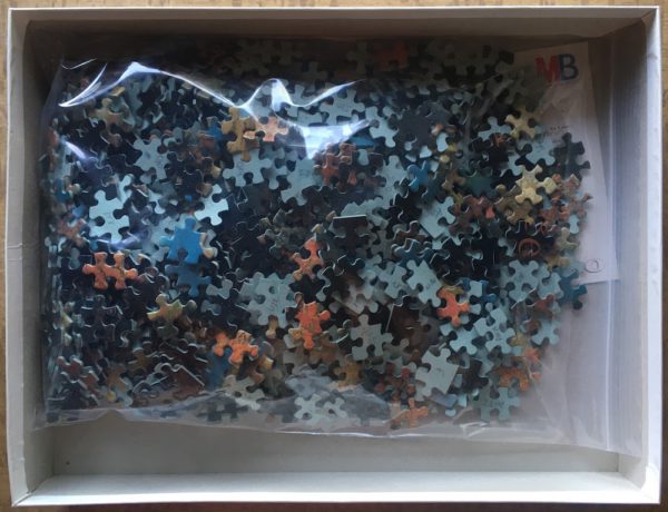 Image of the puzzle 1000, MB, Hêtres sur les Monts Traful, Province de Neuquén, Argentine, by Yann Arthus-Bertrand, Complete, Picture of the bag