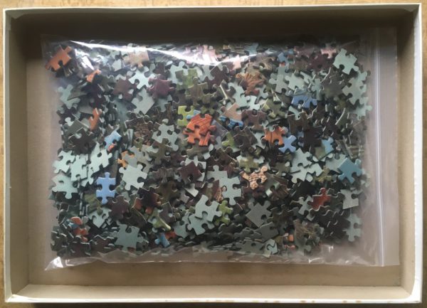 Image of the puzzle 1000, Schmidt, Young Fisherman, by François Gillet, Complete, Picture of the bag