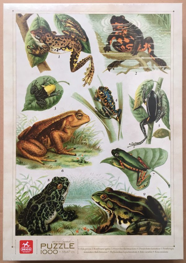 Image of the puzzle 1000, Deico, Encyclopedia Puzzle, Frogs, by Adolphe Philippe Millot, Factory Sealed, Picture of the box
