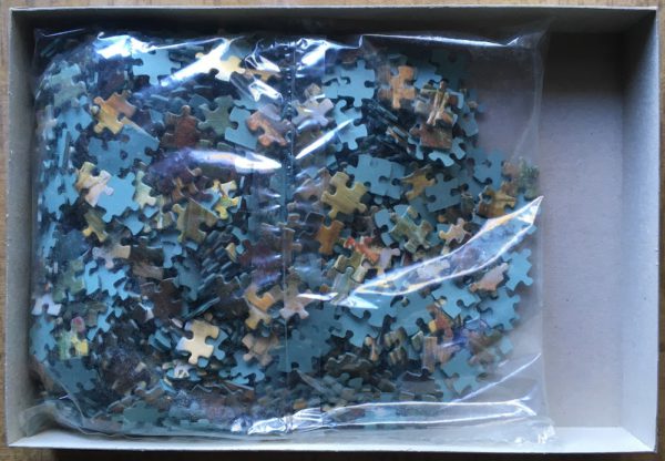 Image of the puzzle 1000, Waddingtons, Reading by the Window, by Charles James Lewis, Sealed Bag, Picture of the bag