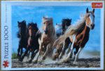 Image of the puzzle 1000, Trefl, Galloping Horses, by Adam Wong, Sealed Bag, Picture of the box
