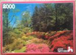 Image of the puzzle 2000, Nathan, Forest and Flowers, Factory Sealed, Picture of the box