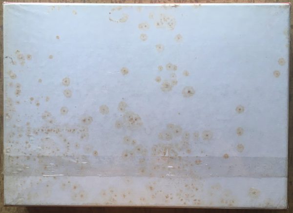 Image of the puzzle 2000, Nathan, Forest and Flowers, Factory Sealed, Picture of the back