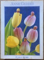 Image of the puzzle 900, Blatz, Anne Geddes Puzzle 57620, Incomplete, Picture of the box