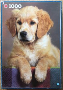 Image of the puzzle 1000, Jumbo, Golden Retriever Puppy, Picture of the box