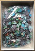 Image of the puzzle 1000, Grafika, Sorcière, François Ruyer, Complete, Picture of the bag