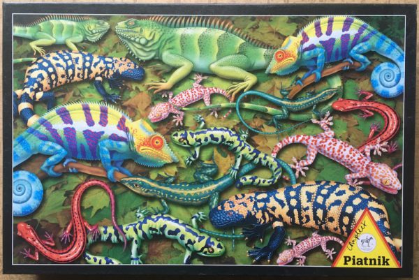 Image of the puzzle 1000, Piatnik, Salamanders, Complete, Picture of the box