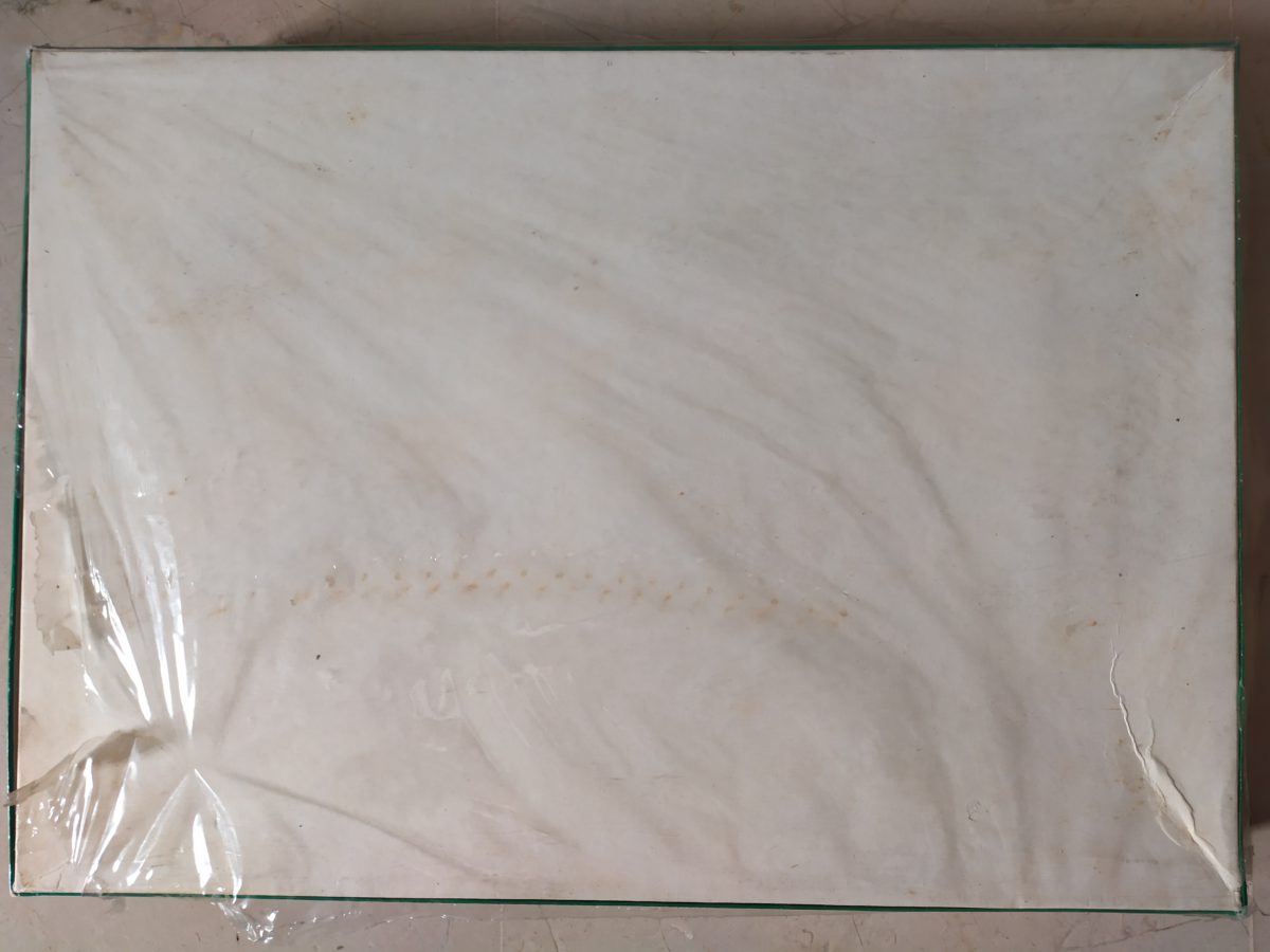 Image of the puzzle 2000, International Team, Rinoceronte Azzurro, Invrea, Factory Sealed, Picture of the back