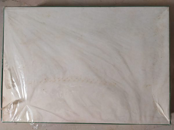 Image of the puzzle 2000, International Team, Rinoceronte Azzurro, Invrea, Factory Sealed, Picture of the back